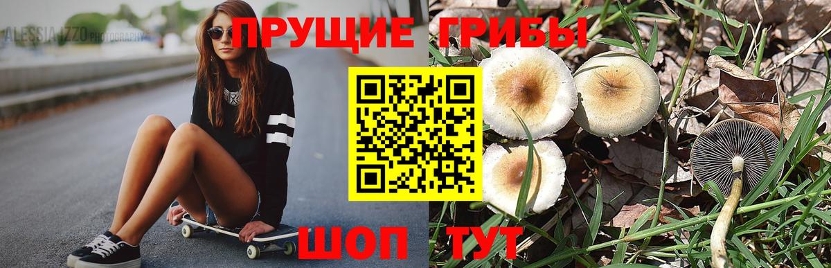 Псилоцибиновые грибы GOLDEN TEACHER  Вход с VPN  Галлюциногенные грибы мухоморы  Ростов-на-Дону 